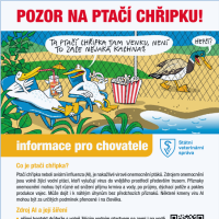 Informace pro chovatele od Státní veterinární správy - Ptačí chřipka