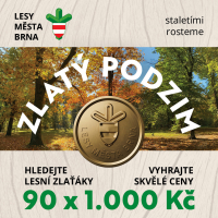 Lesy plné zlaťáků